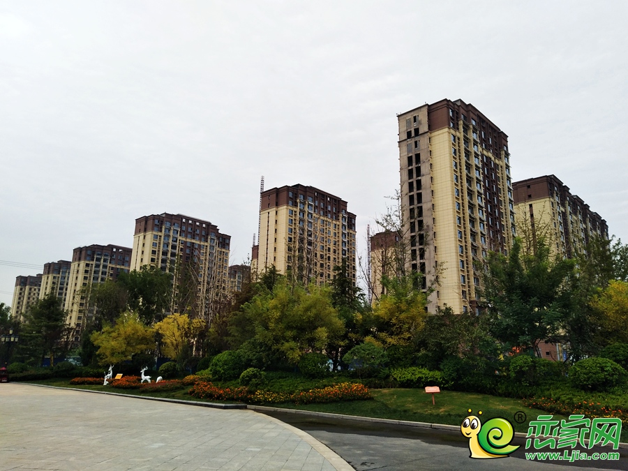 邯郸未来城最新动态，全面了解与参与指南