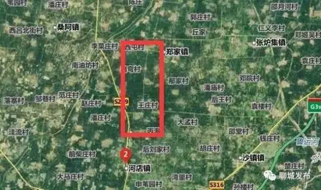 机动车驾驶员代驾 第5页