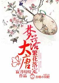 皎皎最新小说，时代与情感的交织之美探索