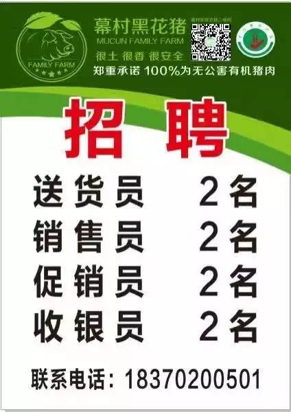 修水最新招聘信息，职场与友情的奇妙交汇点