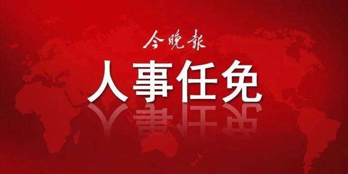 天津最新任免消息及详细步骤指南