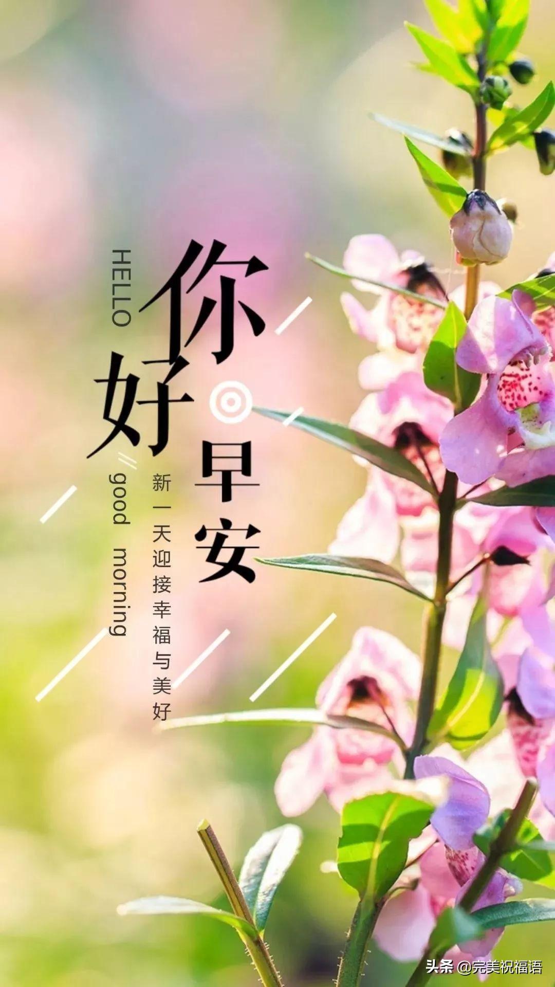 每日更新在线最新地址，探索信息时代最新动态与趋势