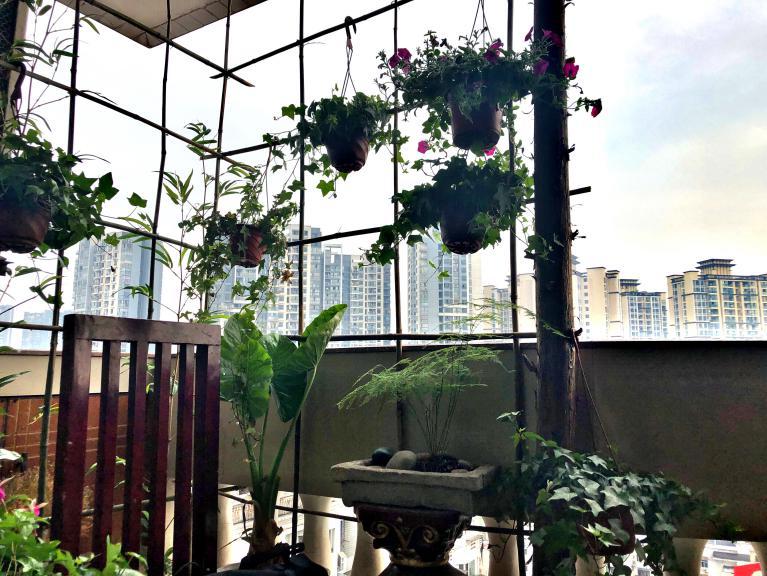 私房live最新版本，家的温馨与友情纽带，日常与奇妙的互动体验