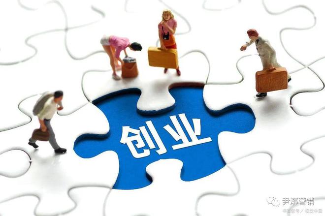 最新创业项目概览，时代脉搏与创新步伐的融合