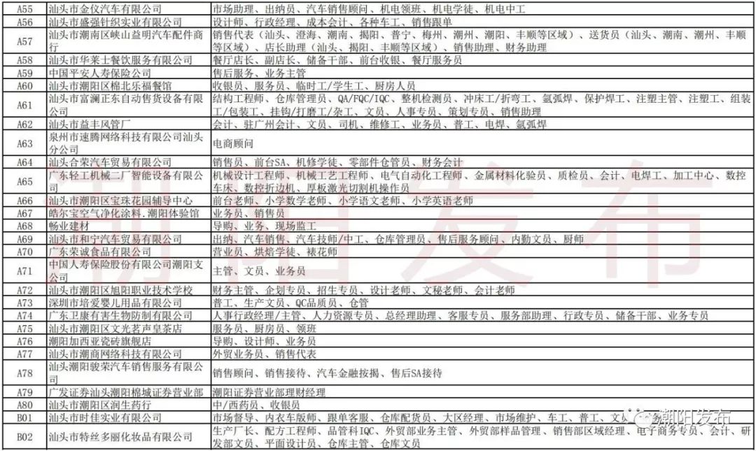 潮阳棉城厨师招聘启事，科技烹饪盛宴重塑味蕾，诚邀厨艺精英加盟