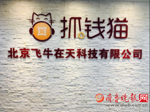 抓钱猫最新动态，自然美景探索之旅，寻找内心平和与喜悦的旅程