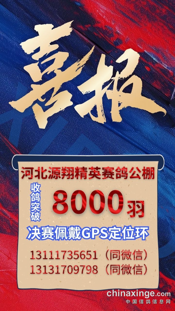 河北金鼎公棚最新公告，探索自然美景之旅，寻觅内心宁静的旅程